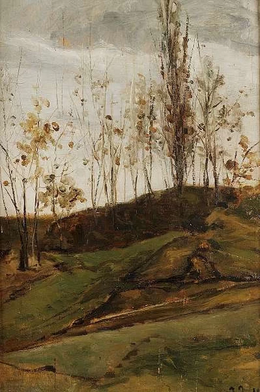 Studio di alberi